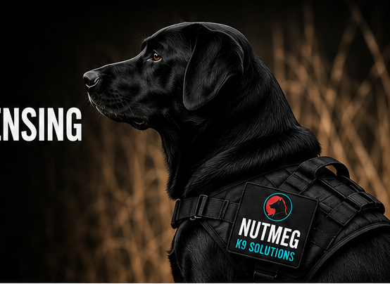 Certified Nutmeg K9 working dog team